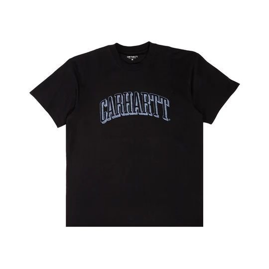 CARHARTT スカrawlスクリフトショトスリフTシャツ I031025 16ZXX