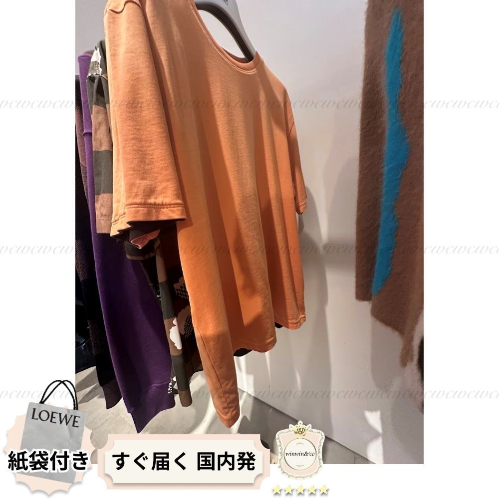 【完売必至】ロエベ■Tシャツ オレンジ シンプル メンズ