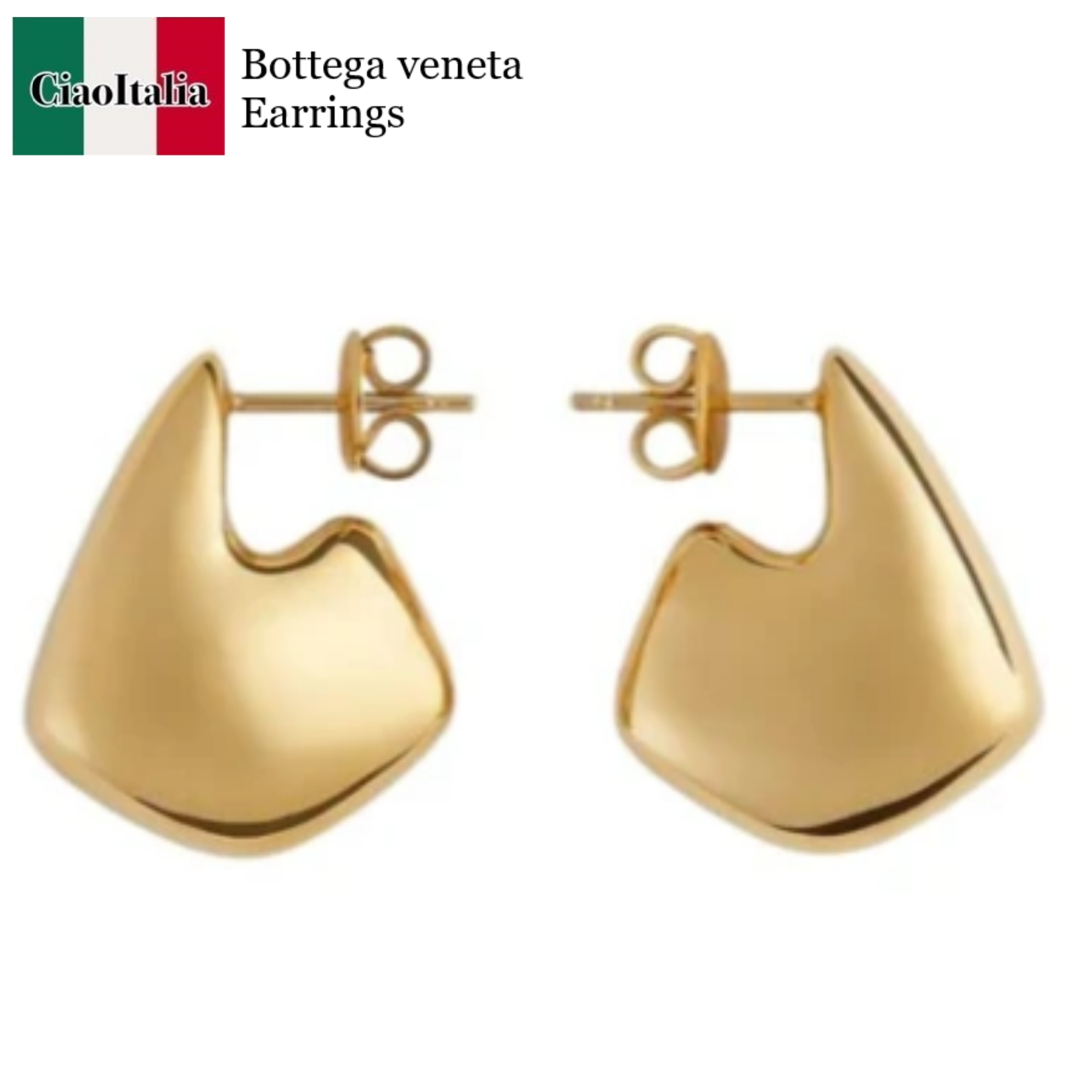 ピアス Bottega Veneta Earring