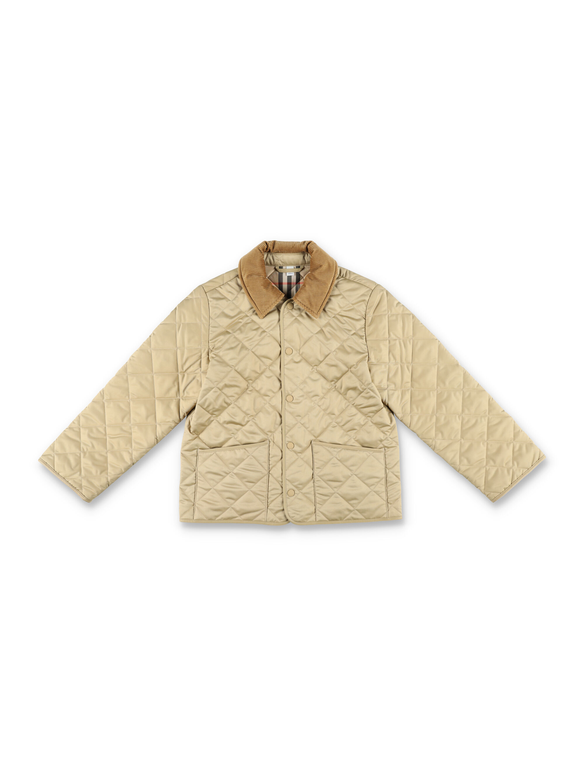 キッズアウター Burberry OUTERWEAR (8108509)
