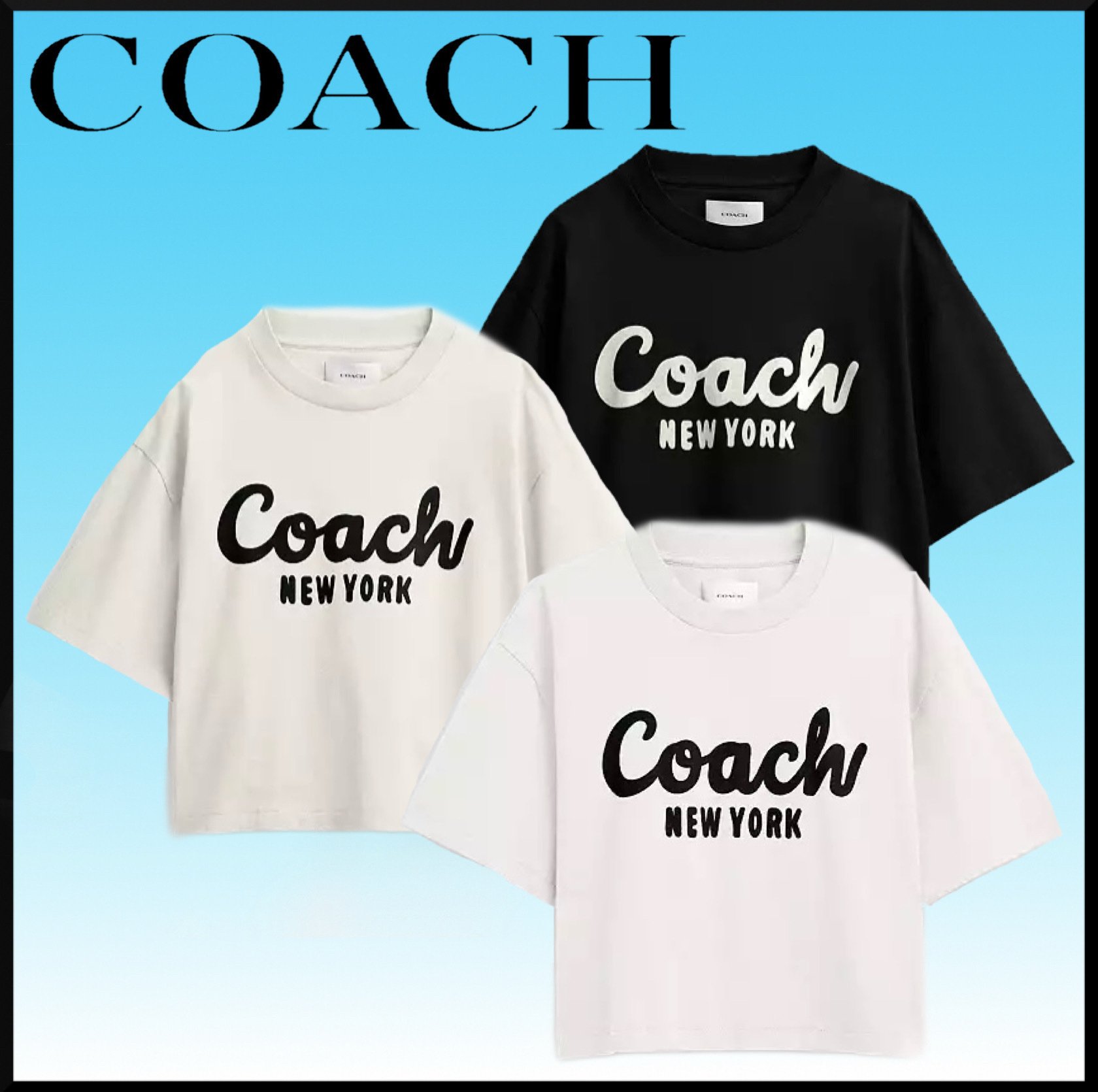 大人気★COACH カーシヴ シグネチャー クロップド Tシャツ★半袖