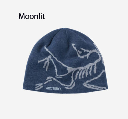 ARC'TERYX】Lightweight BIRD HEAD TOQUE☆バードヘッドトーク