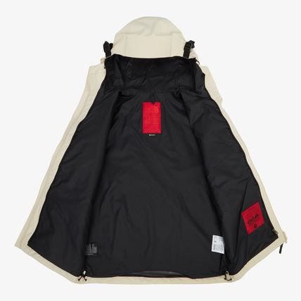 THE NORTH FACE M'S ECO GORE-TEX MOUNTAIN JACKET 4FK1415 (THE