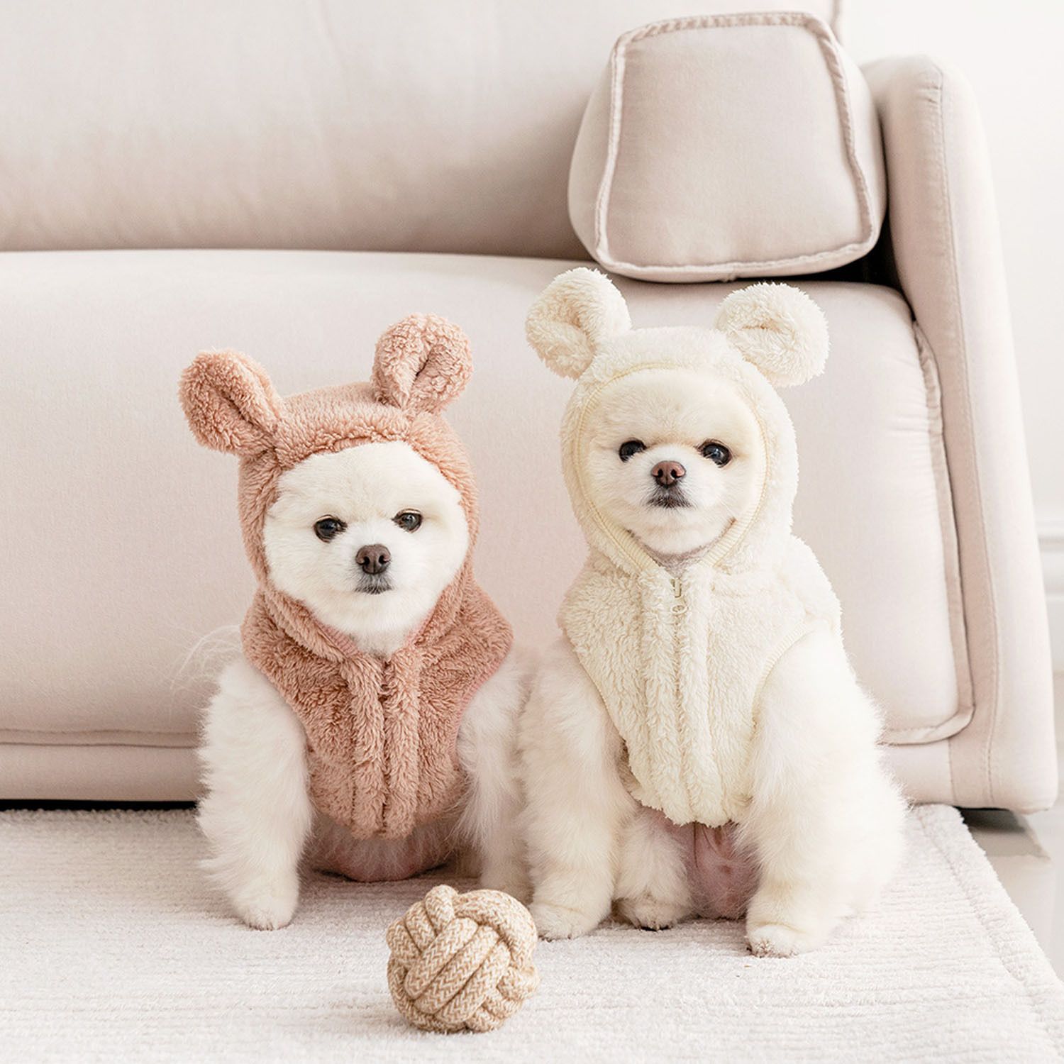 愛犬家さん必見 海外ペット服の人気タイプを一挙ご紹介 Buyma
