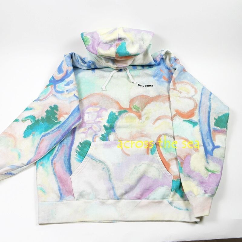 ☆ Supreme ☆ Landscape Hooded Sweatshirt 18SS WEEK 15-