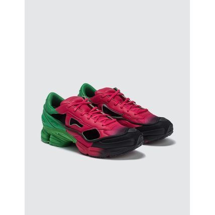 残りわずか Raf Simons adidasコラボ OZWEEGO 靴下 ダッド (RAF SIMONS ...