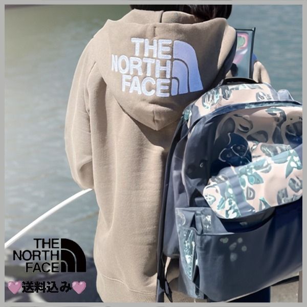 THE NORTH FACE国内発リアビューフルジップフーディ ﾊﾟｰｶｰ THE