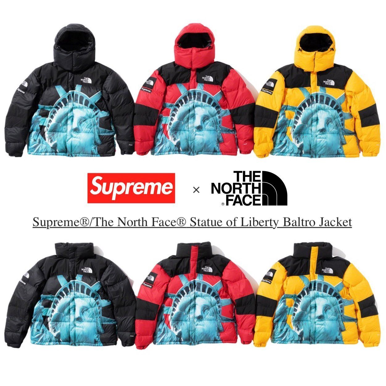 supreme®︎ x TNF Statue of Liberty バルトロ S