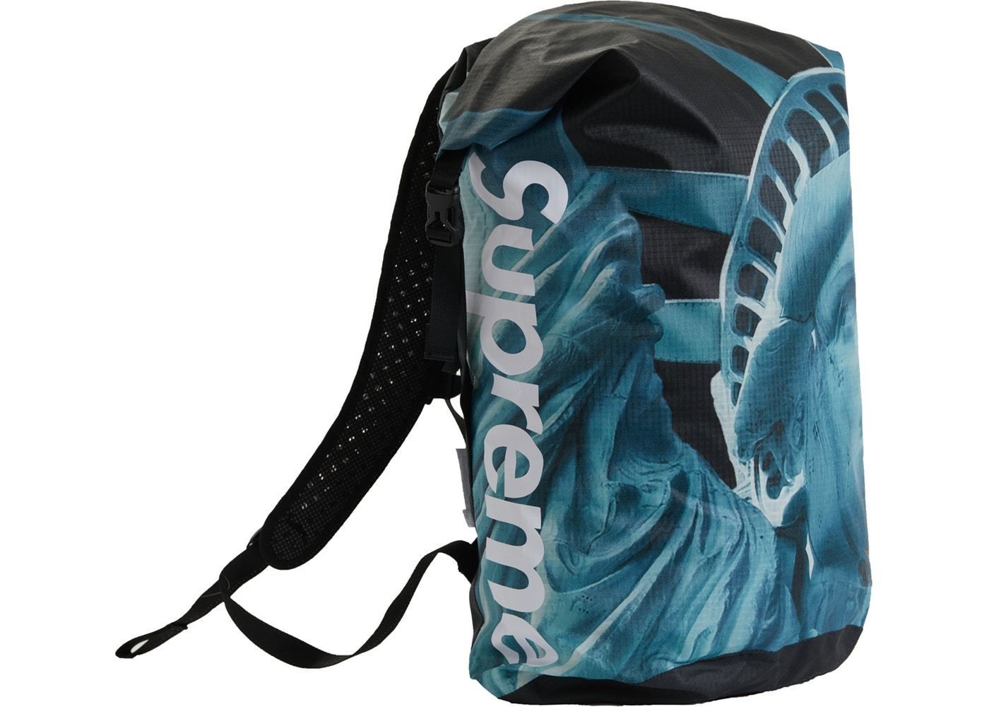 Supreme The North Face Statue of Liberty Waterproof Backpack ...