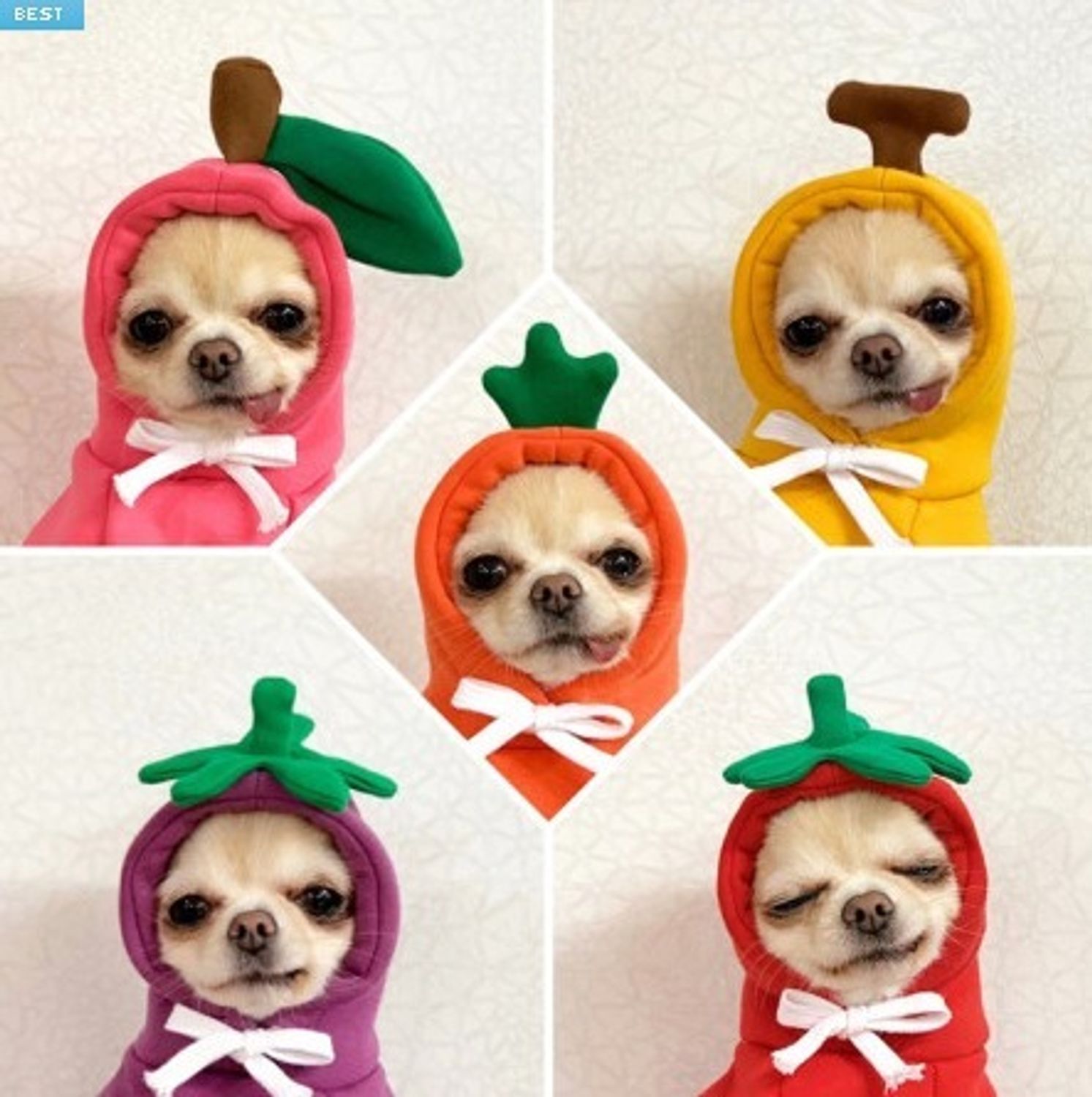 Hand Made フルーツ 野菜起毛パーカー 5color Xs Xl ペット 犬猫 服 Buyma