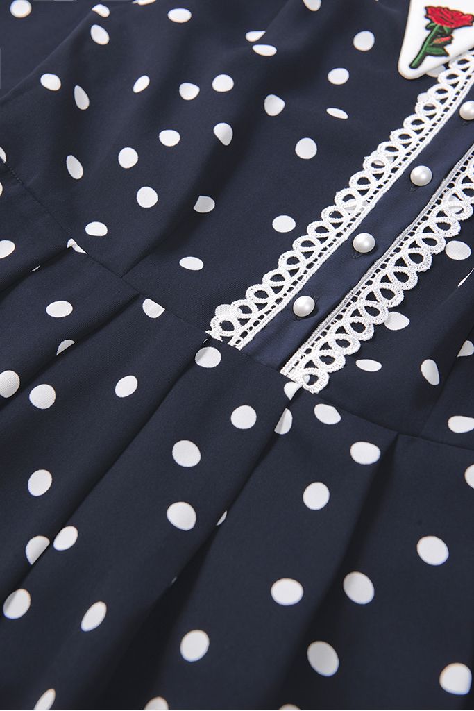 日本未入荷*Miss Patina*レトロワンピース ドット柄 薔薇刺繍 (Miss 日本未入荷*Miss Patina*レトロワンピース ドット柄 薔薇刺繍 (Miss