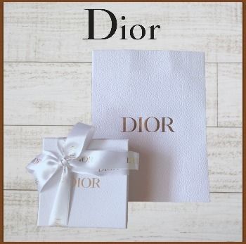 日本限定】 DIOR ディオール SADDLE カーフスキン ウォレット (Dior