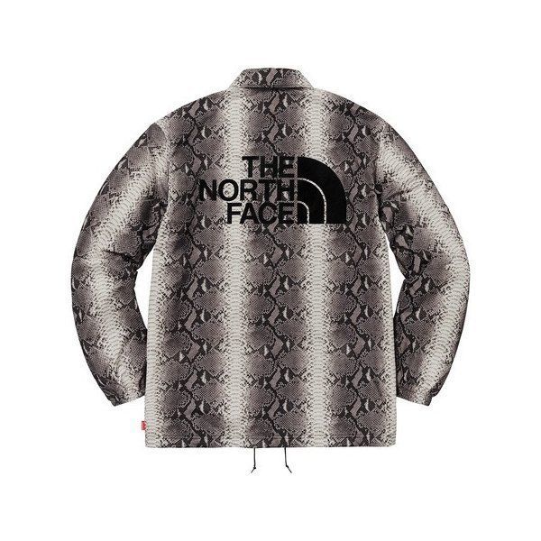 Supreme The North Face Snakeskin Coaches Jacket シュプリーム ...