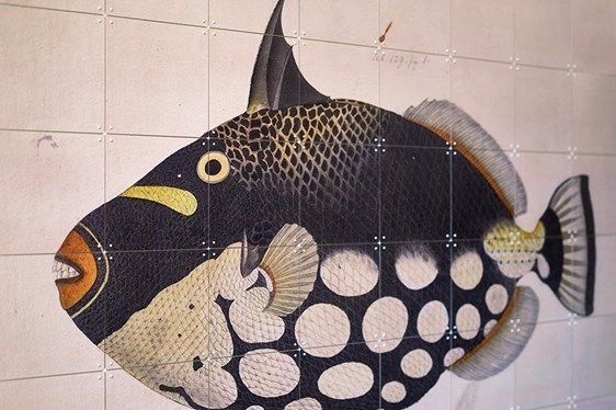 日本未入荷★IXXI防水アート★ブラックフィッシュ壁紙100×80cm 日本未入荷★IXXI防水アート★ブラックフィッシュ壁紙100×80cm