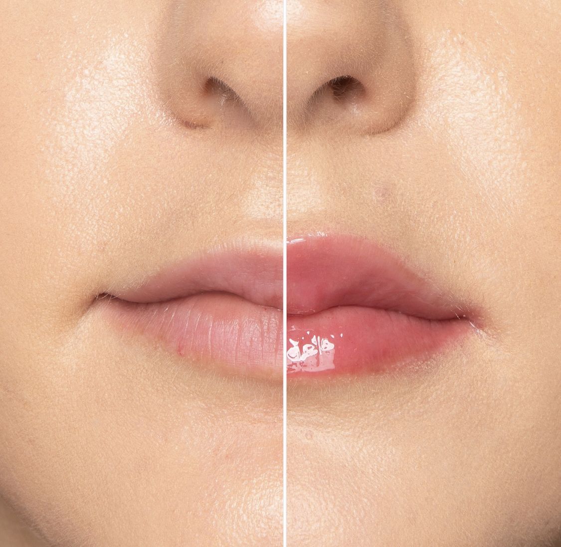 Amazon | TOO FACED （トゥーフェイスド）クリスマスベイク