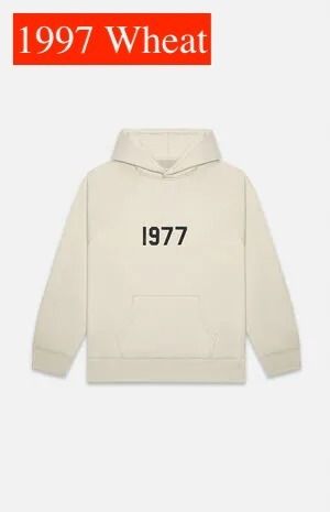 FOG - Fear Of God】Essentials - Hoodie 関税送料込 パーカー (FEAR FOG - Fear Of God】Essentials - Hoodie 関税送料込 パーカー (FEAR