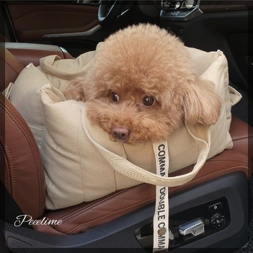 DOUBLE COMMA◇イクバックM・車でもお部屋でも持ち運びもOK☆ (DOUBLE DOUBLE COMMA◇イクバックM・車でもお部屋でも持ち運びもOK☆ (DOUBLE
