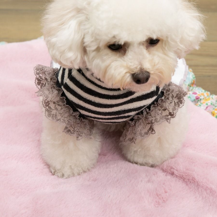 Louis dog】Ma Muse Couture XS~XLサイズ(グレー) (Louis dog/ペット ...