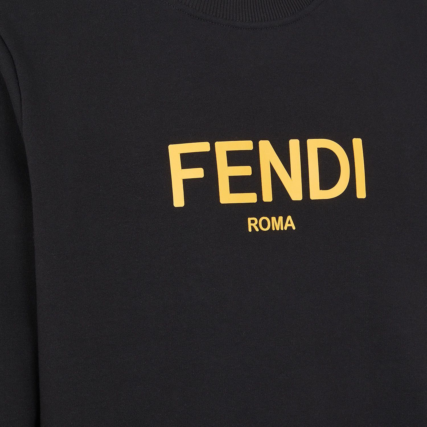 新作【フェンディ】FENDIロゴスウェットトレーナー (FENDI/スウェット 新作【フェンディ】FENDIロゴスウェットトレーナー (FENDI/スウェット