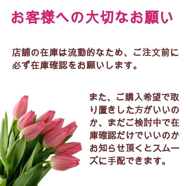 COACH】MOTT DRIVER ドライビングシューズ 在庫確認下さい (Coach COACH】MOTT DRIVER ドライビングシューズ 在庫確認下さい (Coach
