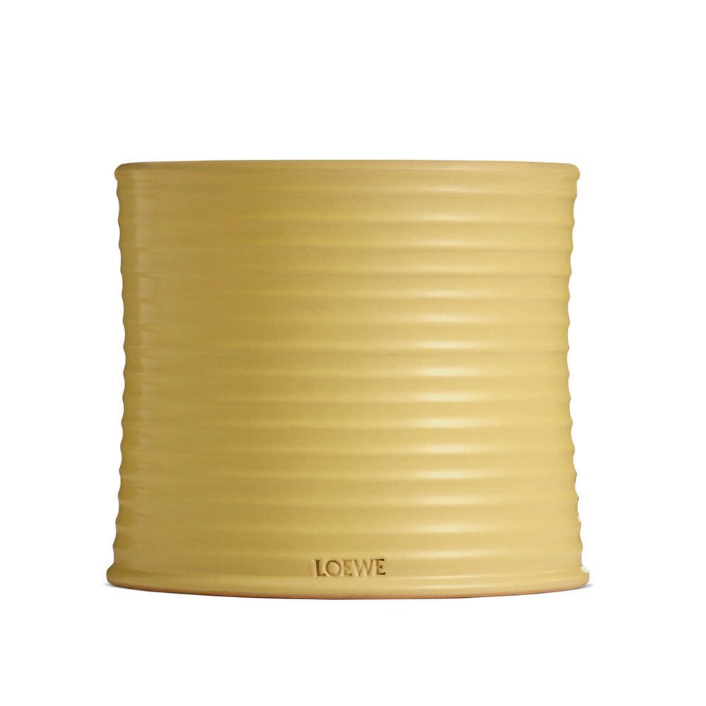 すぐ届く!LOEWE エッセンス入 キャンドル ミディ 全5色 関税込 (LOEWE すぐ届く!LOEWE エッセンス入 キャンドル ミディ 全5色 関税込 (LOEWE