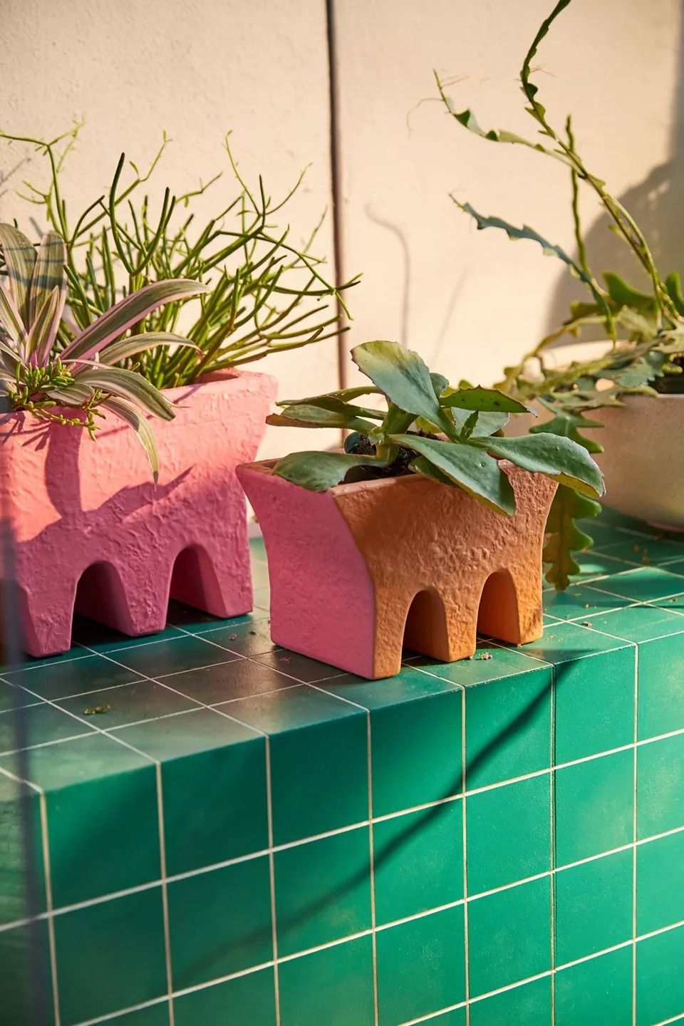 Urban Outfitters Wavy Base Clay Box Planter【スモール】 Urban Outfitters Wavy Base Clay Box Planter【スモール】