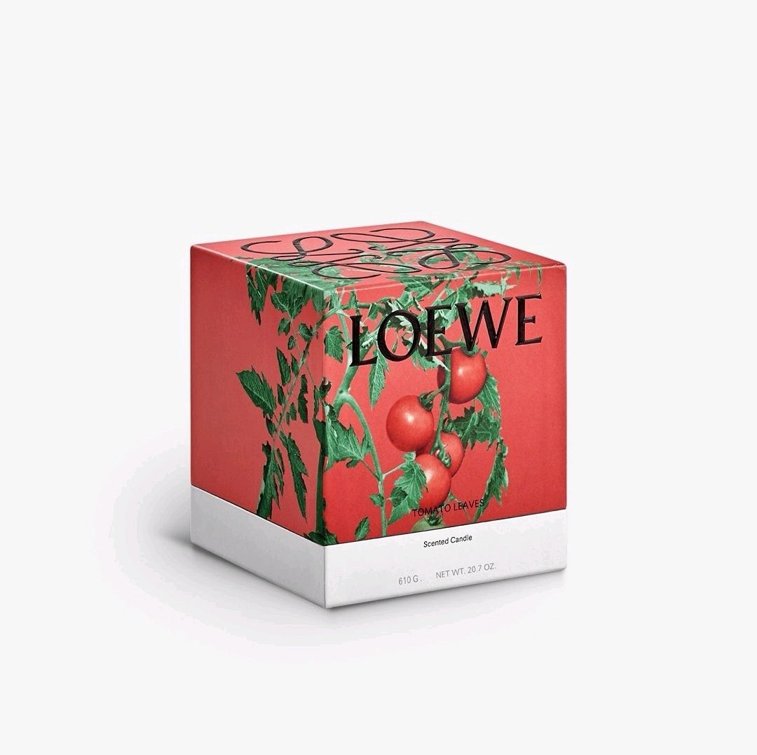 国内発送 LOEWE ロエベ トマトリーフ キャンドル レッド 610g (LOEWE 国内発送 LOEWE ロエベ トマトリーフ キャンドル レッド 610g (LOEWE