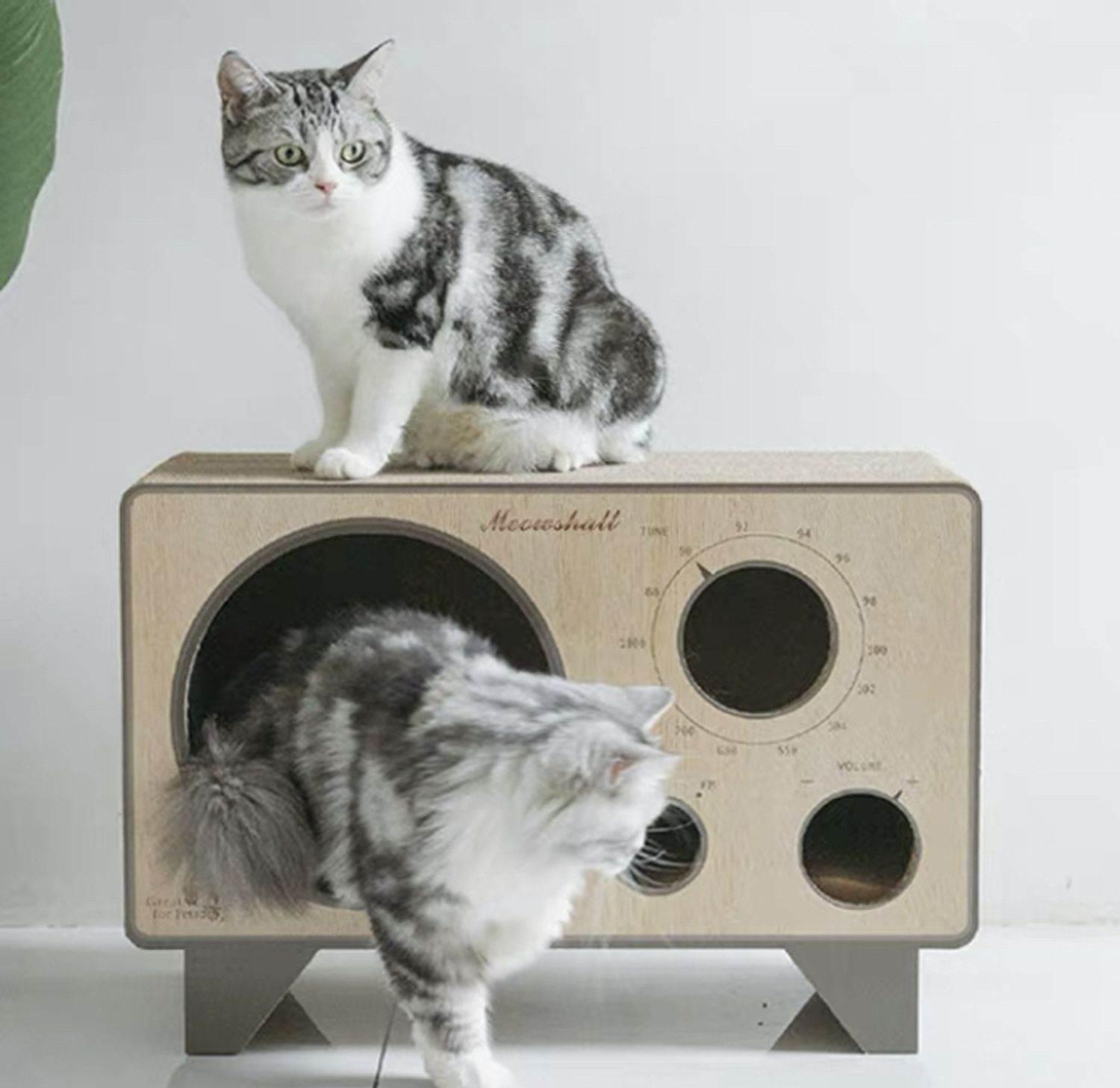 ダンボールベッド 爪とぎボード ラジオベッド 猫のベッド ケア用品 Buyma
