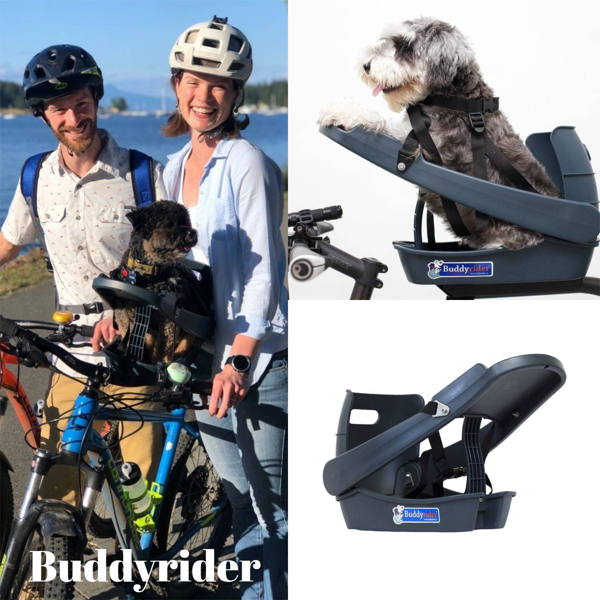 Buddyrider バディライダー　訳あり