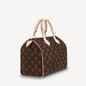 入手困難】ルイヴィトン☆スピーディ 25 バッグ (Louis Vuitton ...