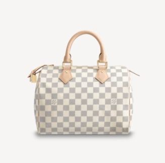 入手困難】ルイヴィトン☆スピーディ 25 バッグ (Louis Vuitton ...