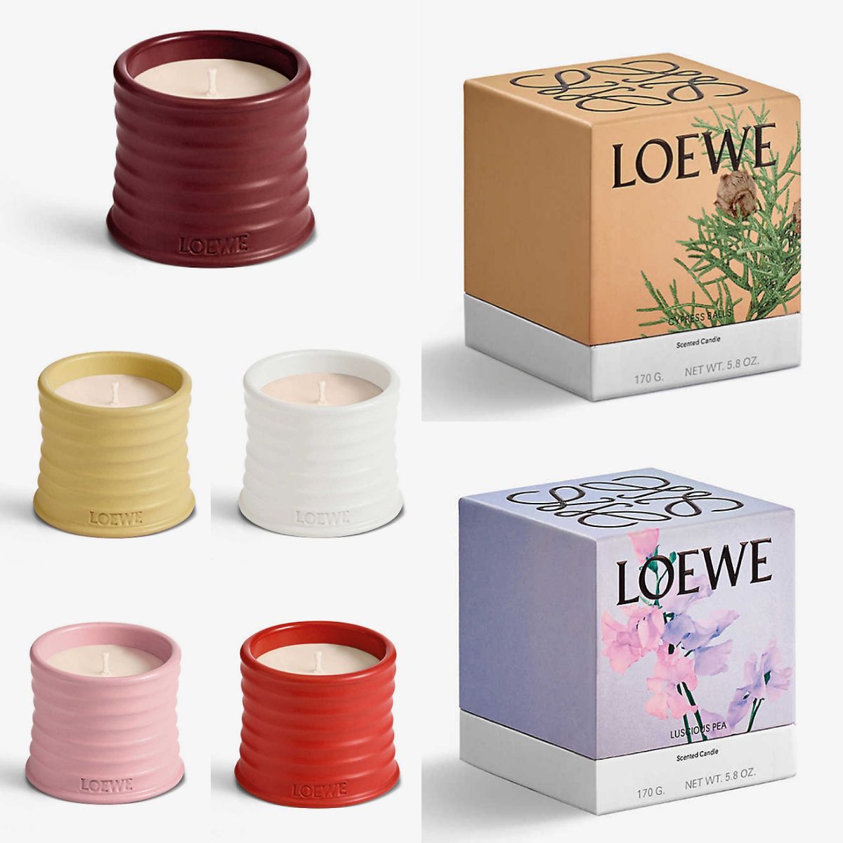 送関込・国内発送】LOEWE☆ ロエベ キャンドル 170g (LOEWE/キャンドル 送関込・国内発送】LOEWE☆ ロエベ キャンドル 170g (LOEWE/キャンドル