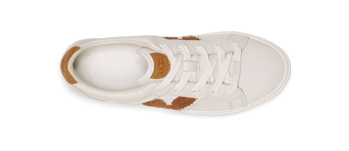 ◎セール◎】UGG DINALE カウプリント スニーカー (UGG/スニーカー ...