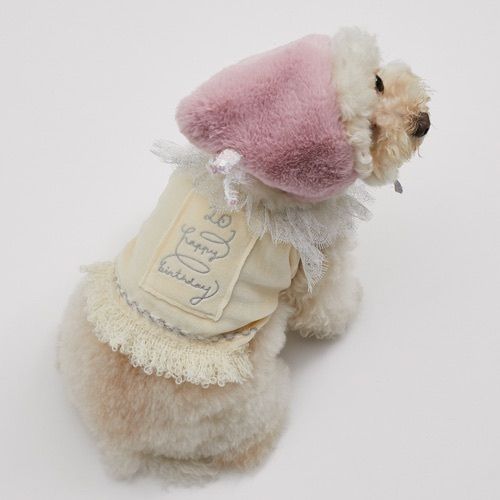Louis dog】 Happy Birthday ベロアトップ XS~XLサイズ (Louis dog ...