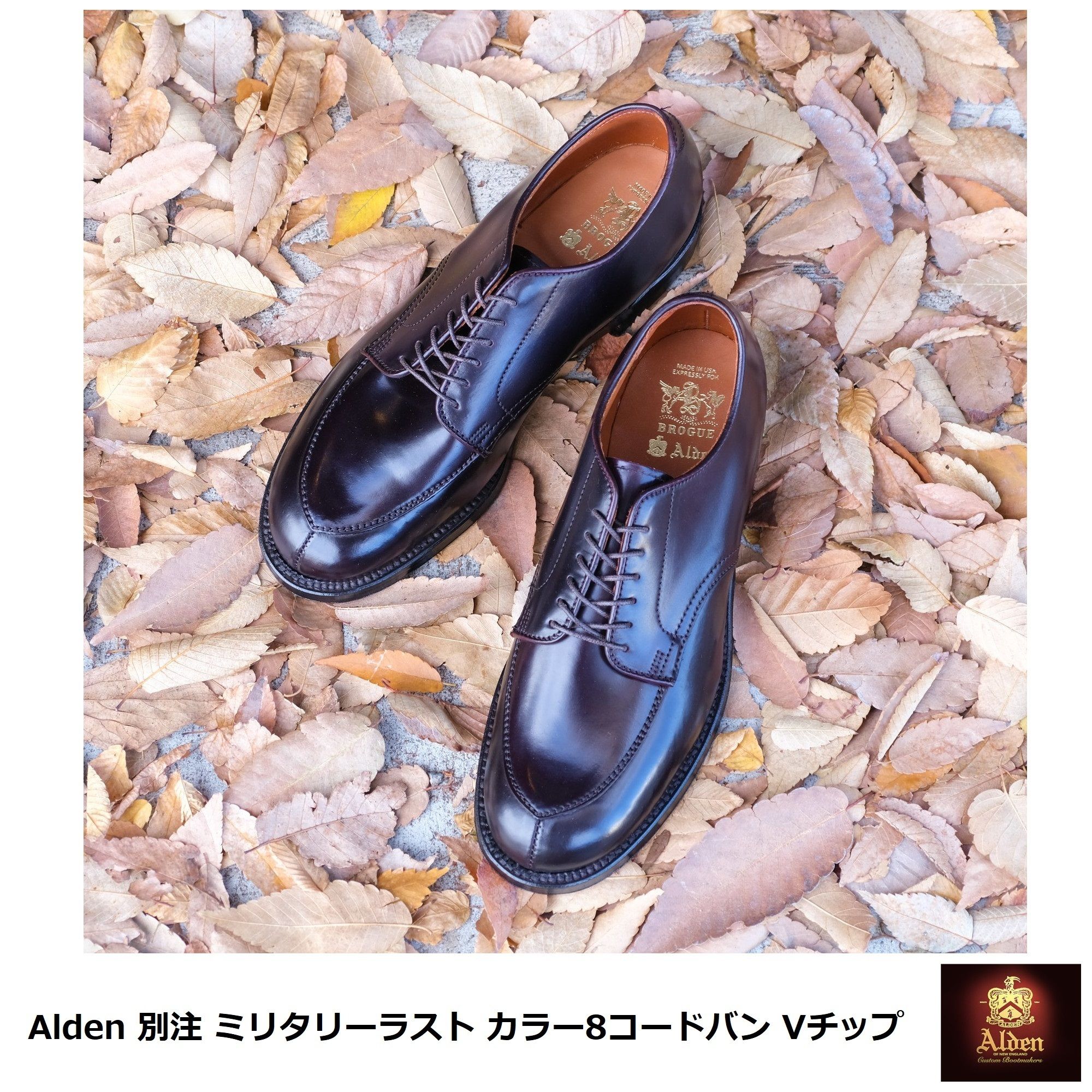 シューズ型Vチップレザーソウル別注 Alden オールデン Vチップ