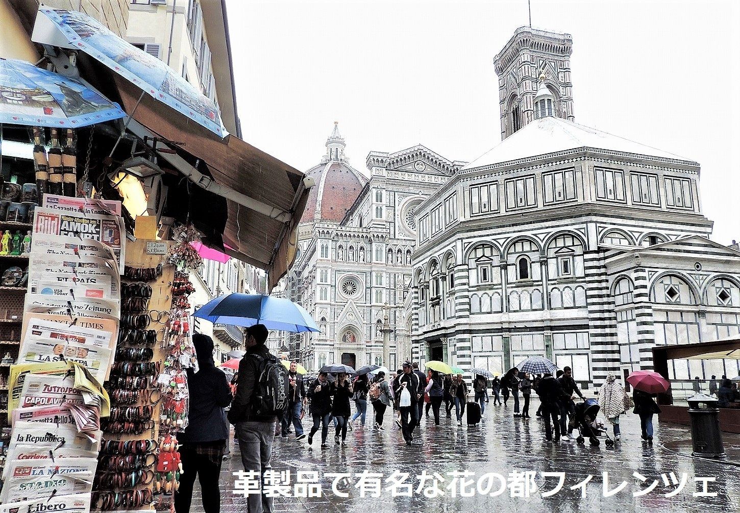 SantaMariaNovella セラミックカップ ティーインフュージョン (Santa ...