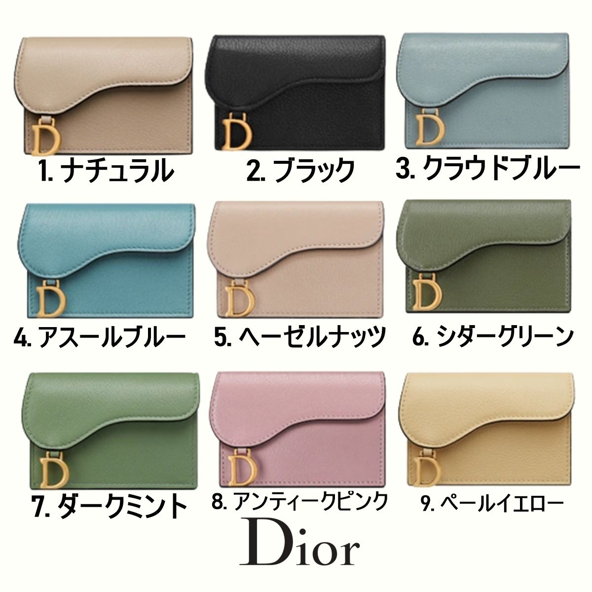 DIOR☆SADDLE フラップ カードホルダー ミニ財布 直営店 DHL込み (Dior