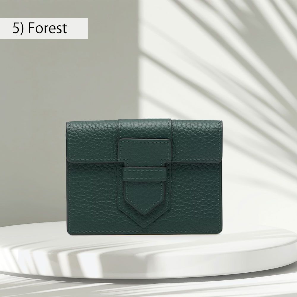 DELVAUX＊Presse Card Holderプレスカードホルダー＊送料込