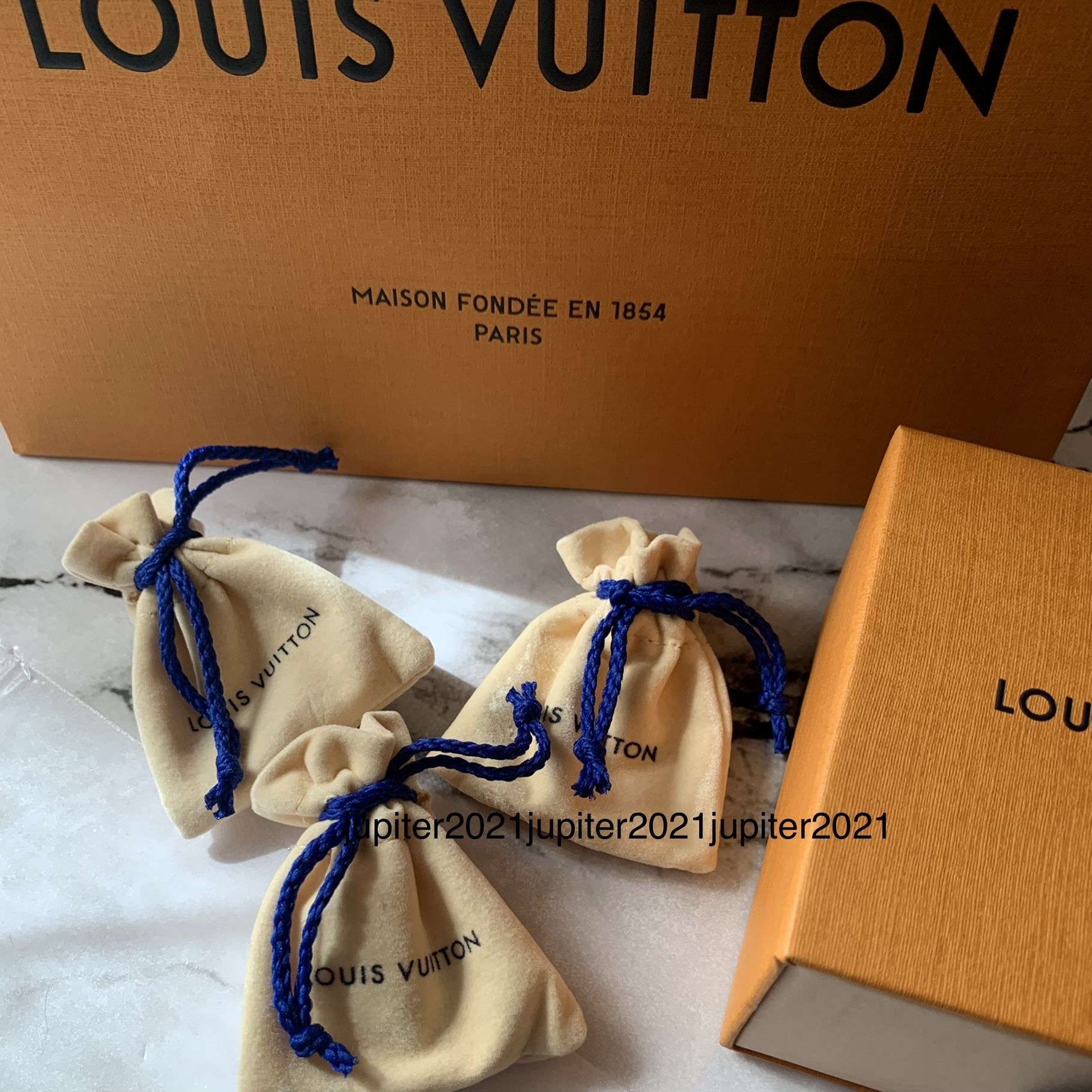すぐ届く》Louis Vuittonブックル ドレイユ ピアス 3点SET
