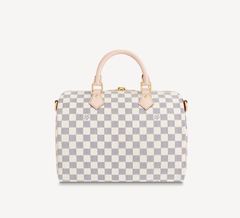 メンズ大人気】Louis Vuitton スピーディ30 ショルダーバッグ (Louis ...