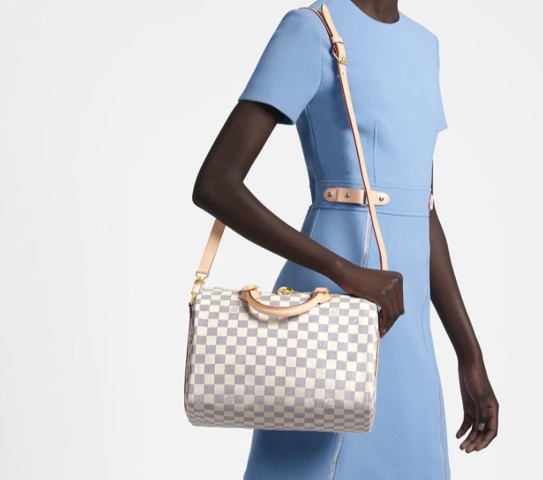 メンズ大人気】Louis Vuitton スピーディ30 ショルダーバッグ (Louis ...