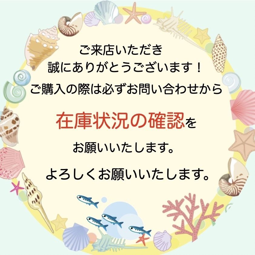 22FW新作!】LOUIS VUITTON モノグラムグラディエントフーディ (Louis 22FW新作!】LOUIS VUITTON モノグラムグラディエントフーディ (Louis