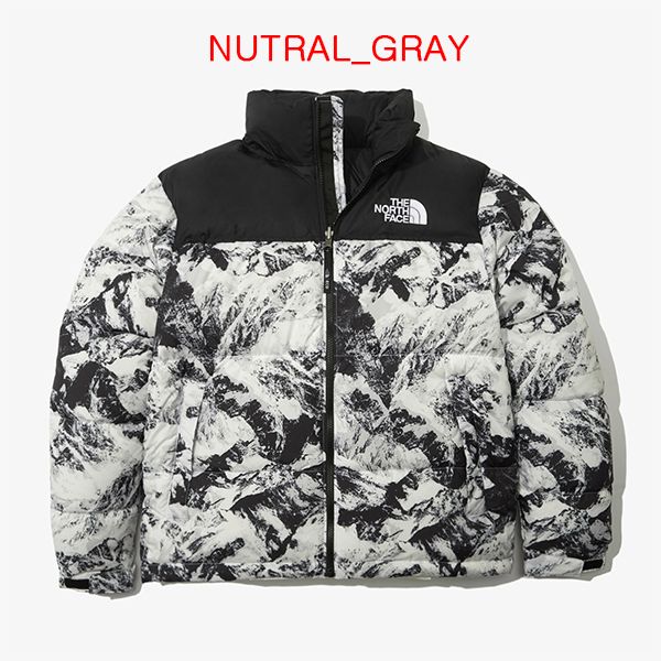 ノースフェイス1996Novelty Nuptse Jackt Mサイズ　ヌプシ