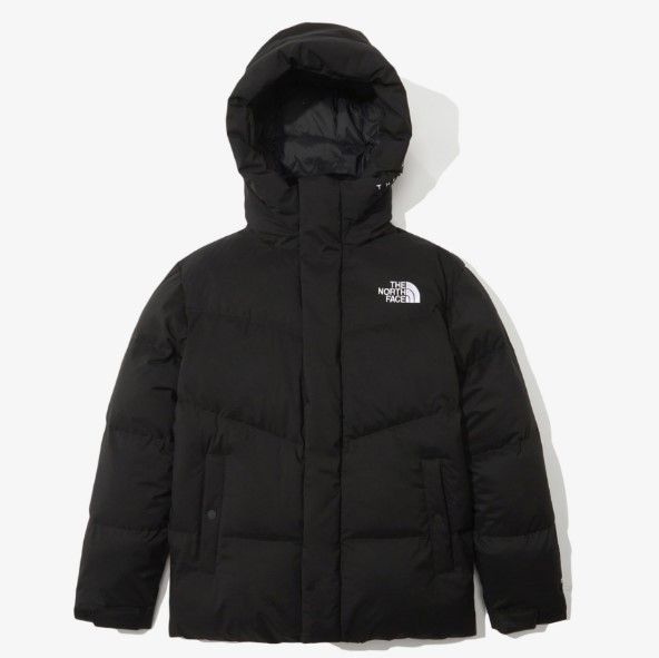 日本未入荷☆THE NORTH FACE☆FREE MOVE ダウンジャケット (THE NORTH ...
