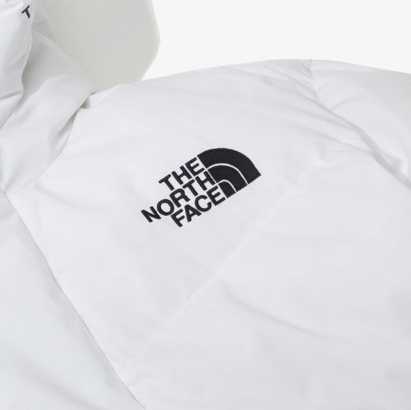 日本未入荷☆THE NORTH FACE☆FREE MOVE ダウンジャケット (THE NORTH ...