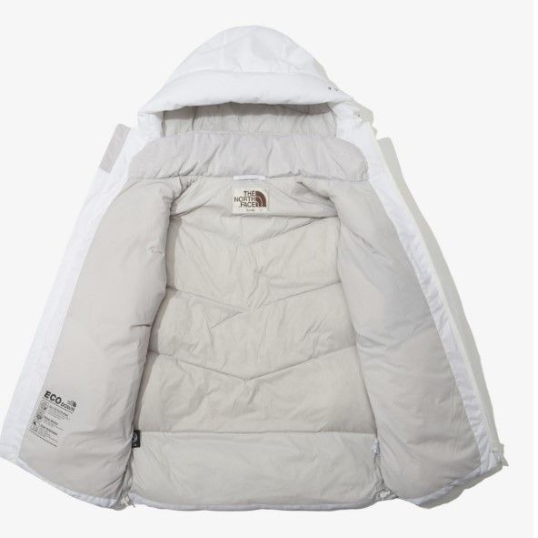 日本未入荷☆THE NORTH FACE☆FREE MOVE ダウンジャケット (THE NORTH ...