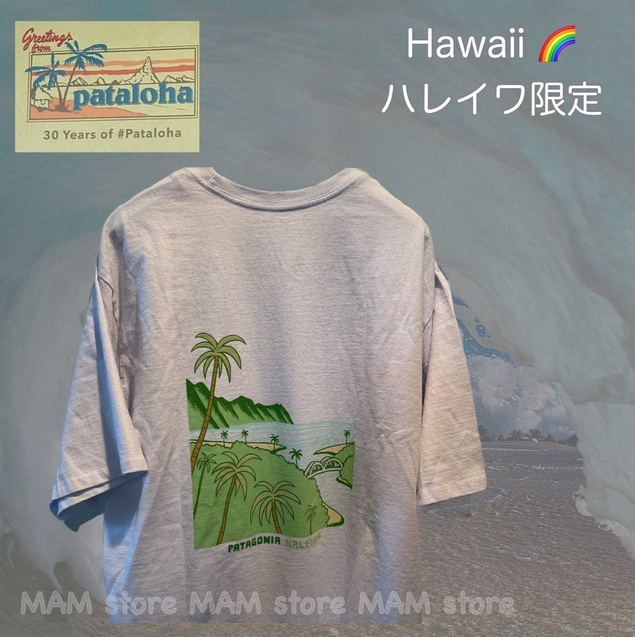 パタゴニア ハワイ限定 ハレイワ Tシャツ いやらし 12-18