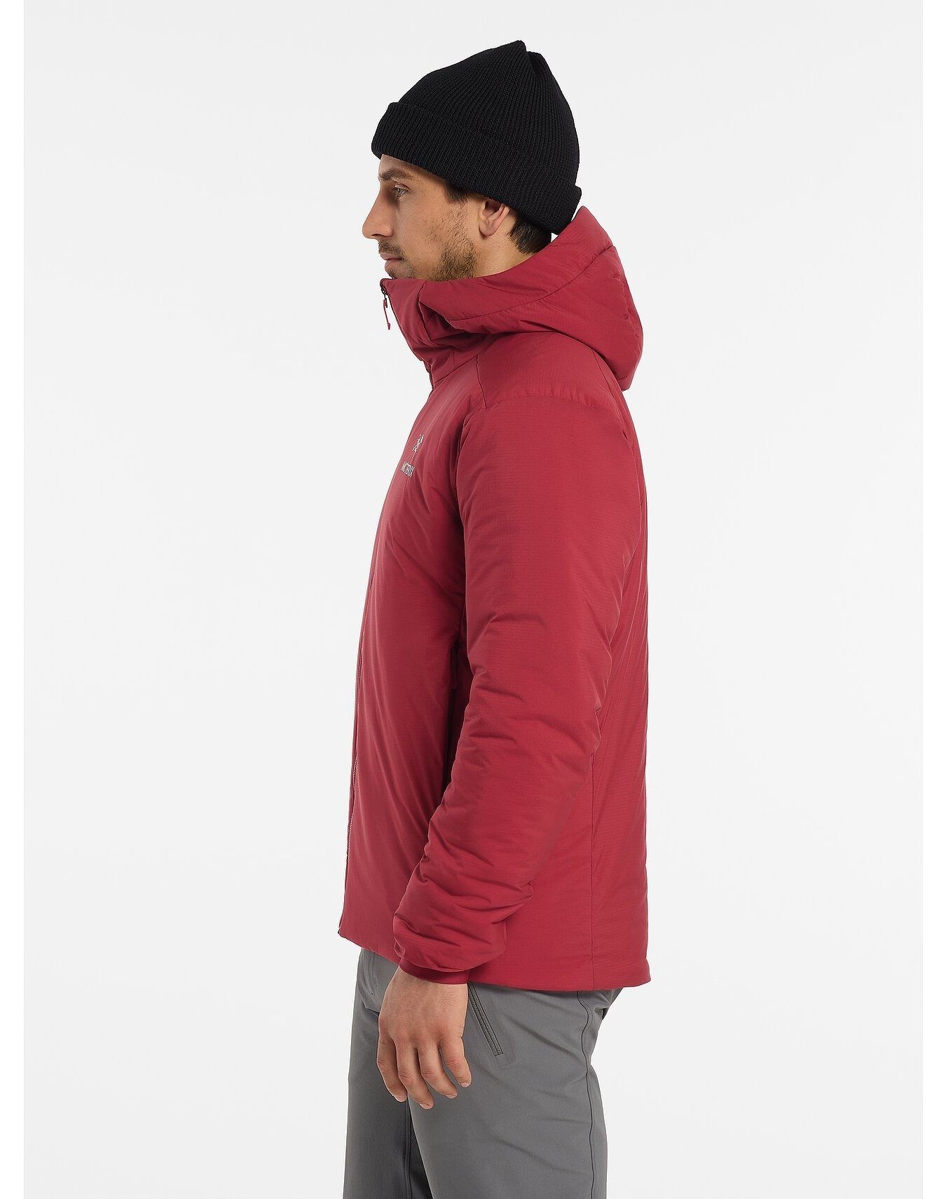 Arc'teryx 入手困難【メンズ】アトム AR フーディ 各色 (ARC'TERYX ...