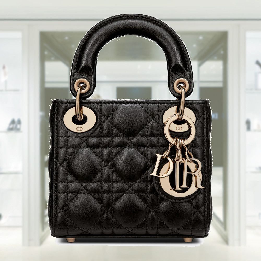 正規店買付☆DIOR LADY DIOR マイクロバッグ (Dior/トートバッグ