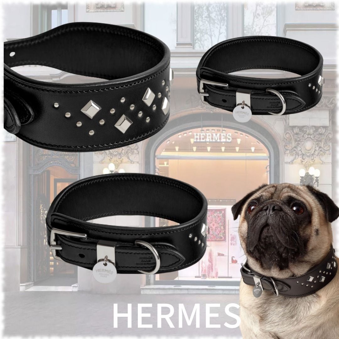 オシャレ HERMES ドッグカラー - 通販 - pnp.na
